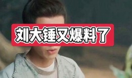 娱乐爆料大锤视频播放,揭秘热门视频幕后故事